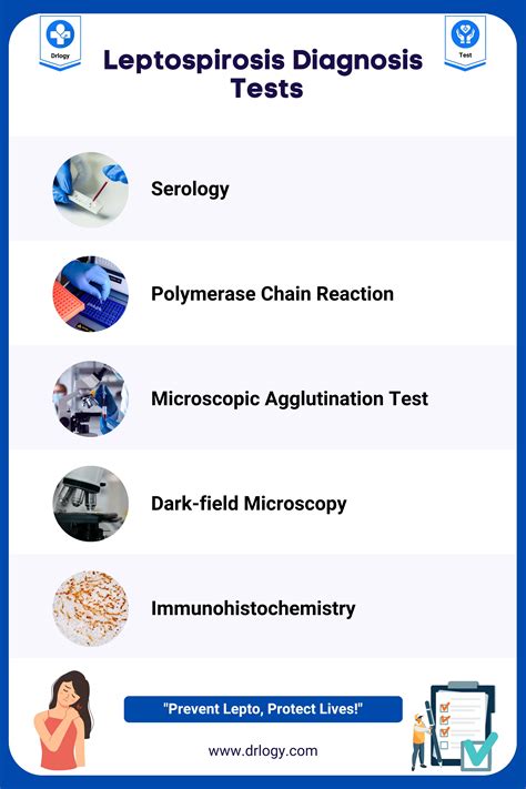 elisa test leptospirosis|mat for leptospirosis testing.